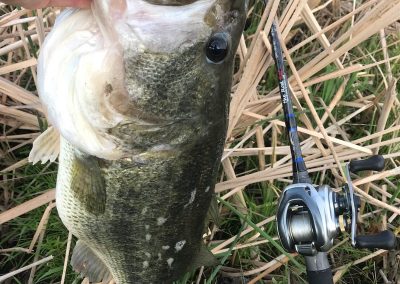 7 Pounder from the shore